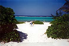 Dream Caribe