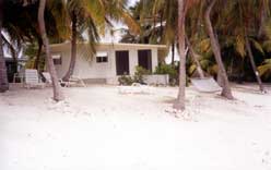 Dream Caribe