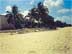 Dream Caribe