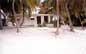 Dream Caribe