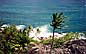 Dream Caribe
