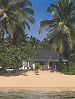 Dream Caribe