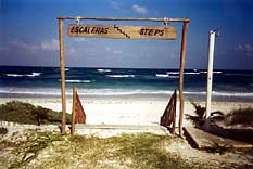 Dream Caribe