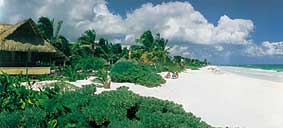 Dream Caribe