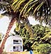 Dream Caribe