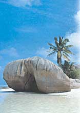 Dream Caribe