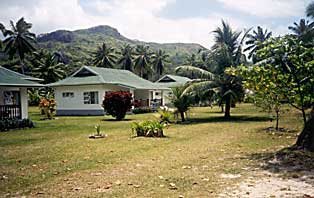 Dream Caribe